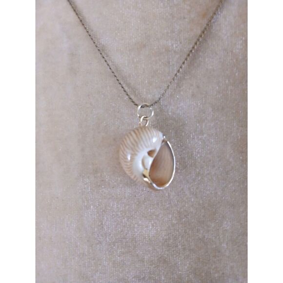 Delicate Natural Seashell 18" Pendant Necklace Beach Ocean Jewelry Gift Coastal - Picture 3 of 6